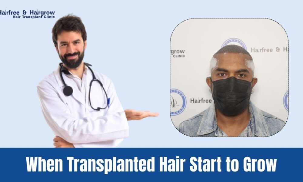 When+Transplanted+Hair+Start+to+Grow