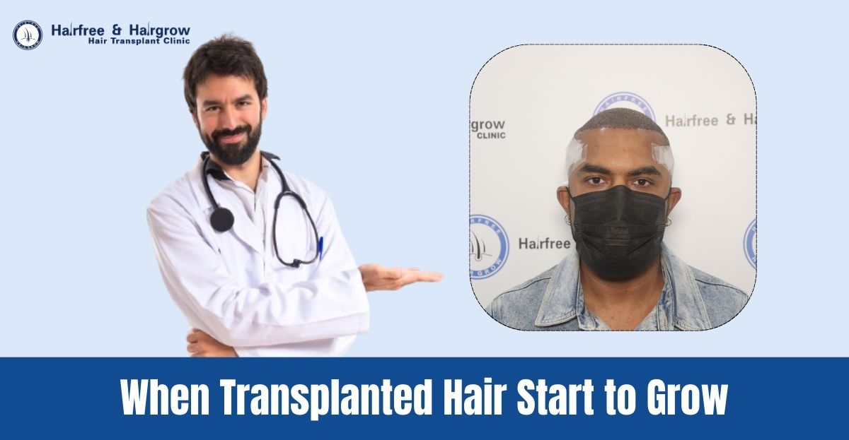 When Transplanted Hair Start to Grow?